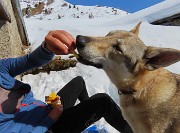 Sulle nevi da San Simone alle Baite Fontanini splende il sole!23febb26- FOTOGALLERY